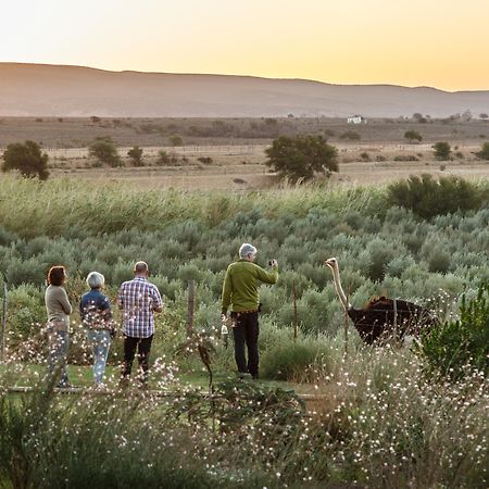 De Denne Country Guest House Oudtshoorn Buitenkant foto