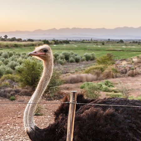 De Denne Country Guest House Oudtshoorn Buitenkant foto